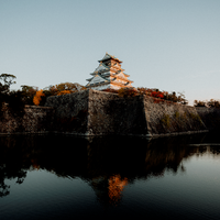 The Golden Castle