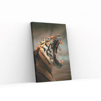 Tired Tiger