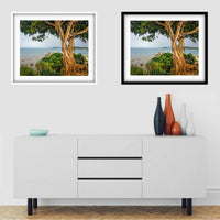 Tree on the Beach 2