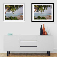 Tree on the Beach