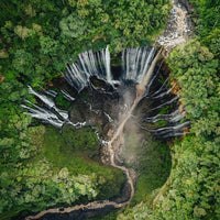 Tree of Life Waterfall in Java, Indonesia