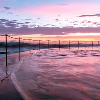 Vivid Bronte