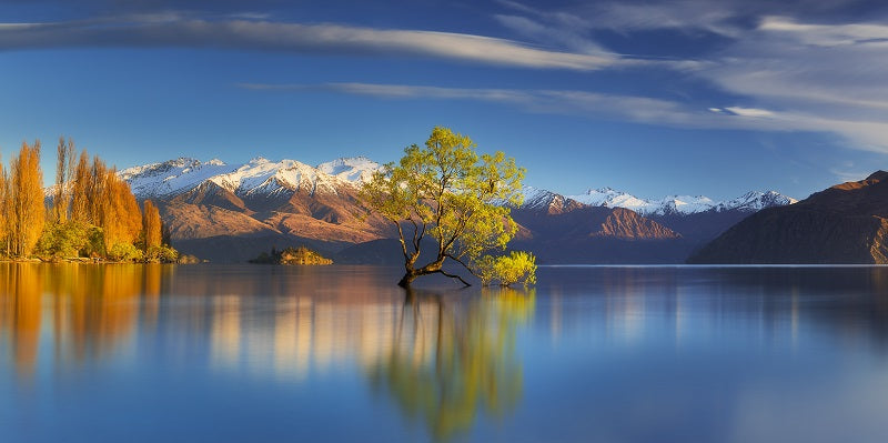 Wanaka NZ