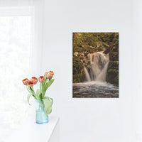 Waterfall Sunlight