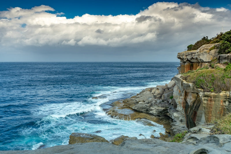 Watsons Bay Coastline