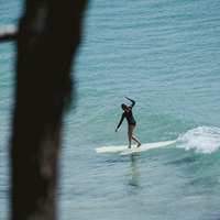 Wave Dancer