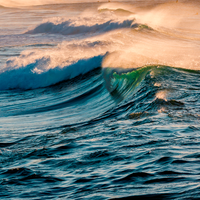 Wave Details