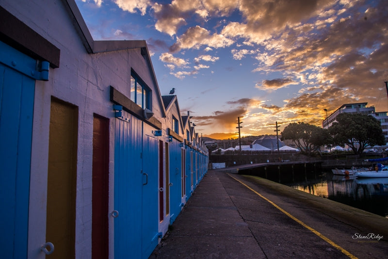 Wellington Boat Harbour on sunset
