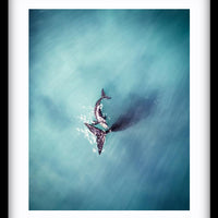 Whales Perth
