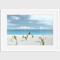 Private Island of Kedhigandu, The Maldives