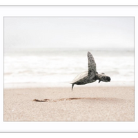 Taking Flight