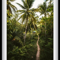 Into the Jungle