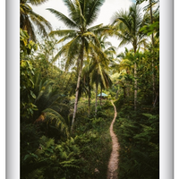 Into the Jungle