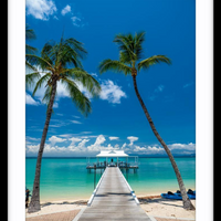 Orpheus Island Jetty