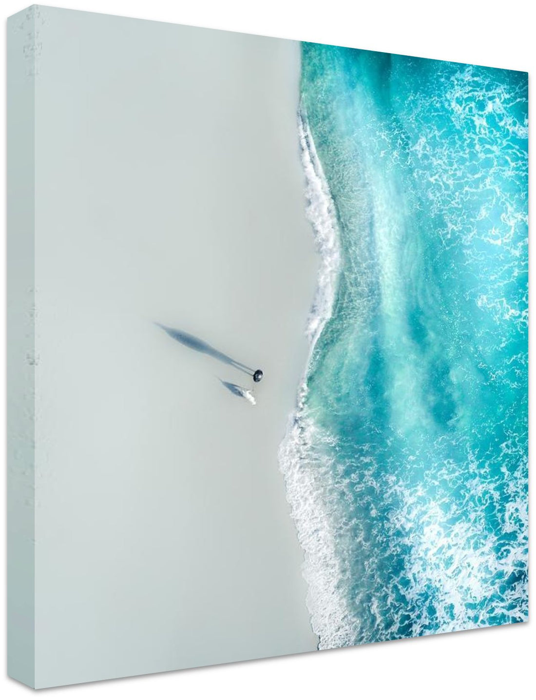 Man and His Best Friend