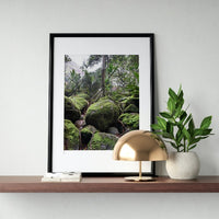 Moss Forest