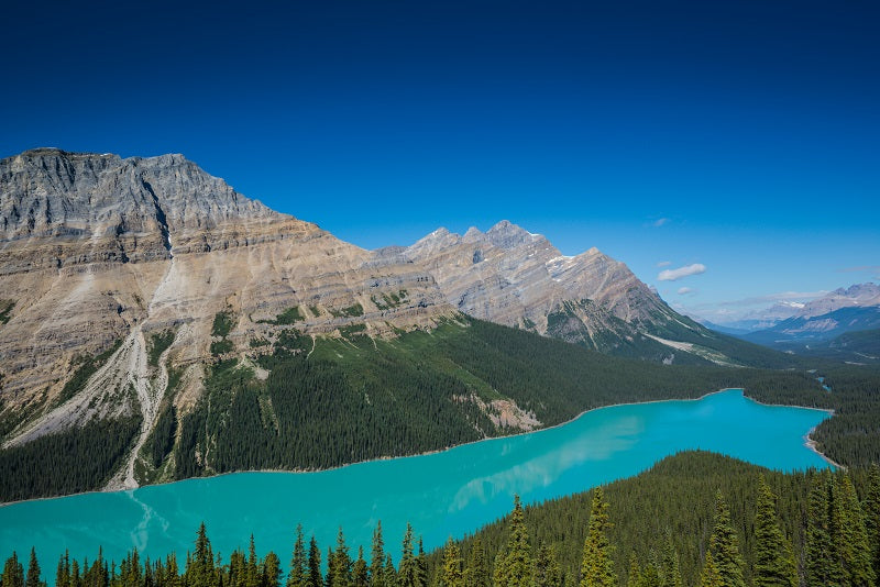 Peyto Lake Banff