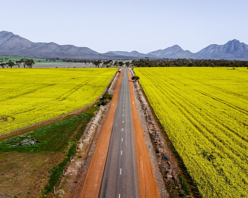 Road to the Ranges