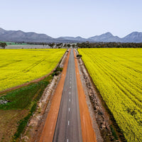 Road to the Ranges