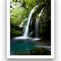 Lush nature
