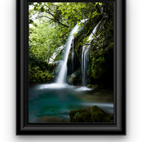 Lush nature
