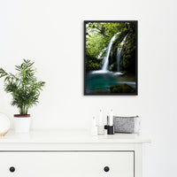 Lush nature