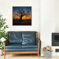 Boab the Tree of Life