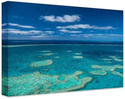 Everything you need to know about Canvas Prints