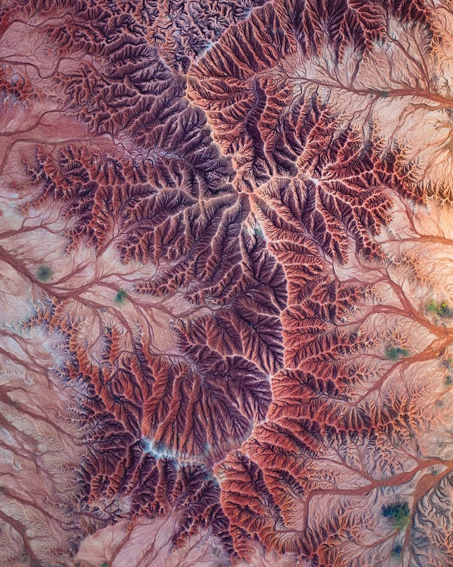 Abstract