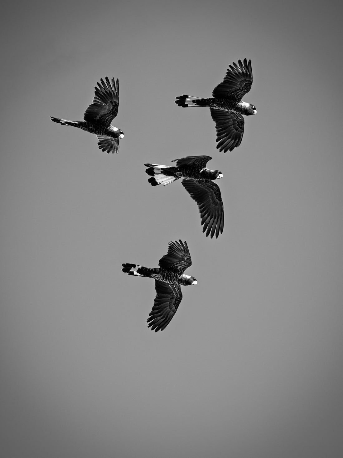 6616ab8ed8c3c268632d0a1d_-f6a3194_1775633112887.jpg