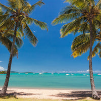 Airlie Beach.  - 1