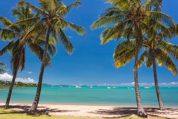 Airlie Beach.  - 1