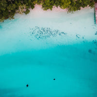 Over the blue: two manta rays meet - 1
