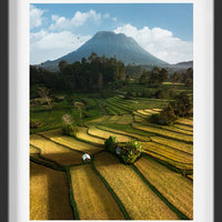 Sidemen Rice Fields, Bali - 2