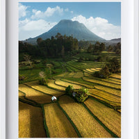 Sidemen Rice Fields, Bali - 3