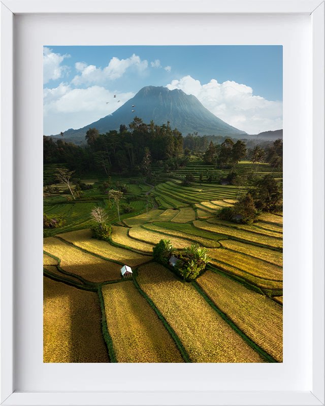 Sidemen Rice Fields, Bali - 3