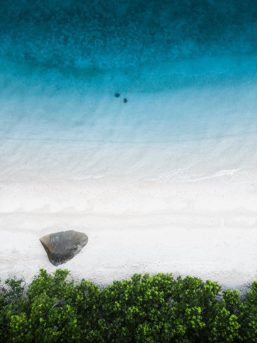 Nudey Beach - 1