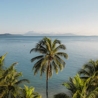 Little Cove - 4