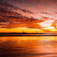 Cable Beach, Broome Landscape - 1