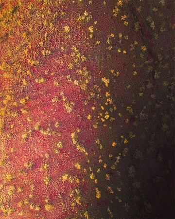 Red Dirt and Shadows of Karijini - 1