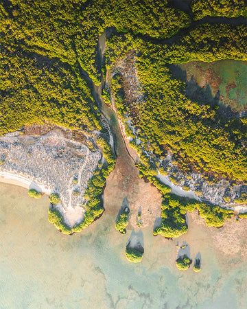 Delta of Mangrove Bay - 1