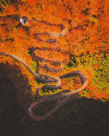 Autumn Japanese Snake Road - 1