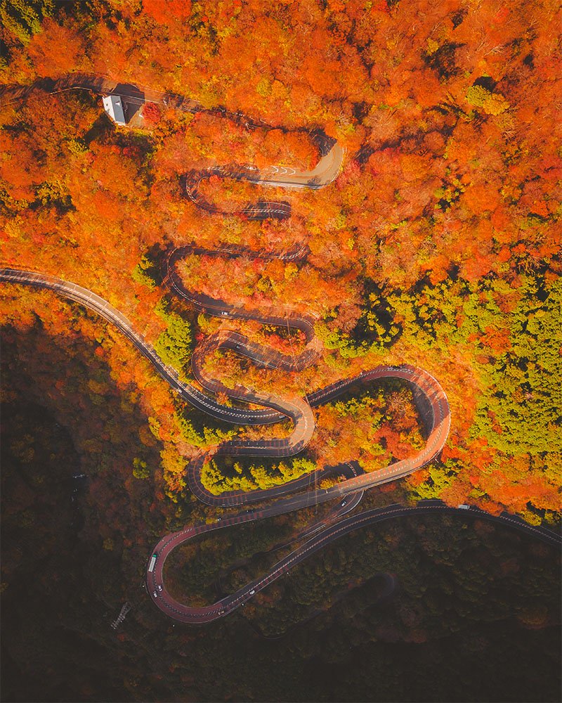 Autumn Japanese Snake Road - 1