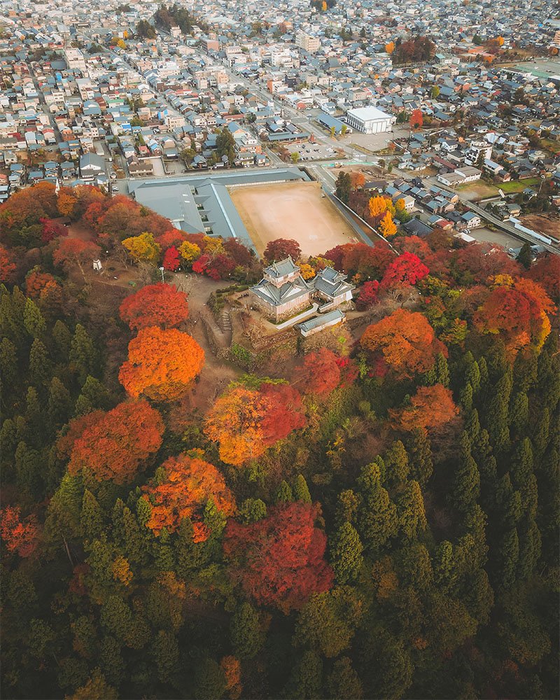 Echizen Ono Castle Surrounded by Red Leaves - 1