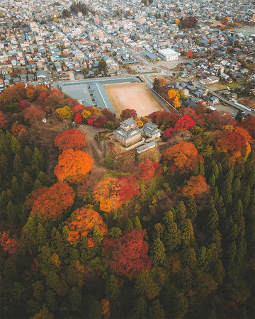 Echizen Ono Castle Surrounded by Red Leaves - 1