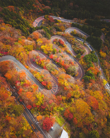 Autumn Japanese Hairpins - 1