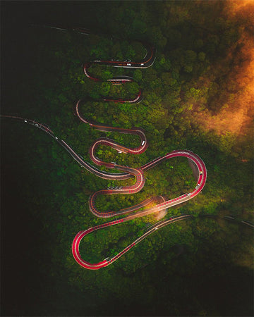 Japanese Snake Road - 1
