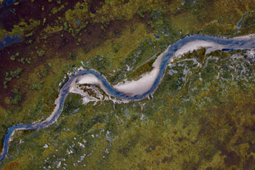 Culbin Sands (5)- salt marshes, Scotland - 1