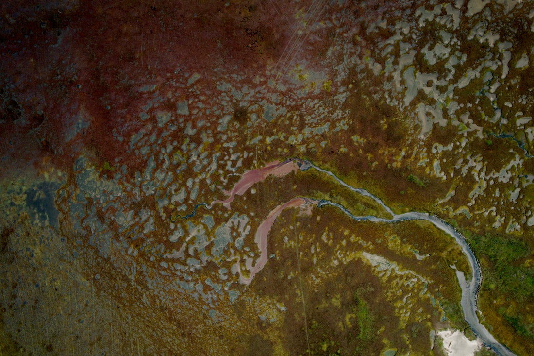 Culbin Sands (6)- salt marshes, Scotland - 1