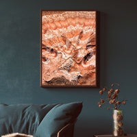 Vermillion Cliffs Utah Abstract  - 3